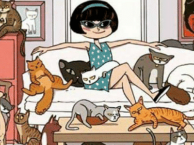 Crazy cat lady