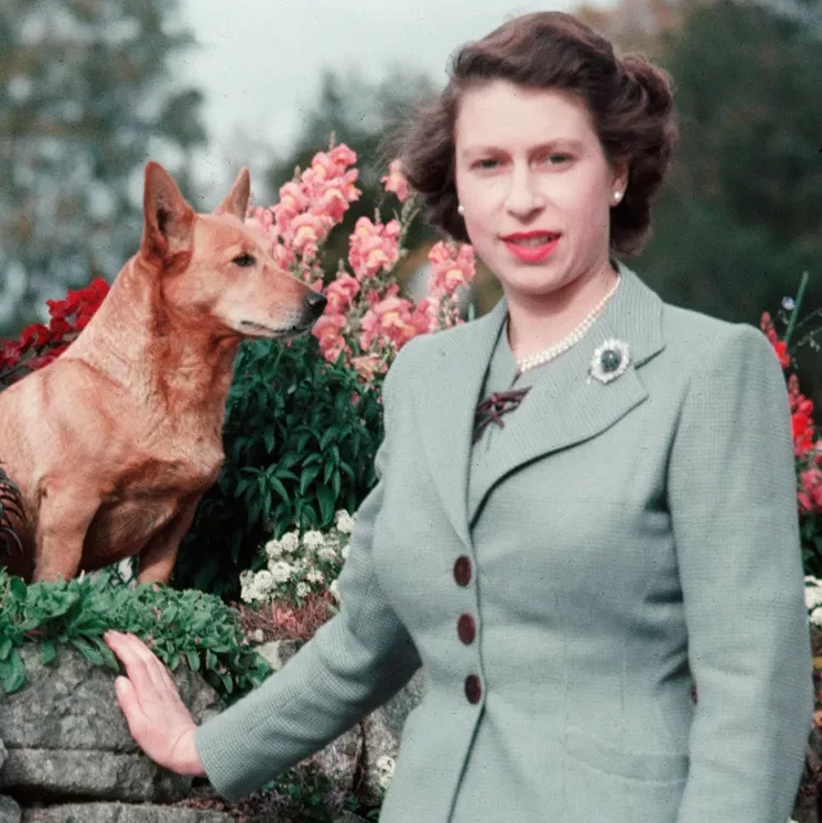Queen Elizabeth with her corgi